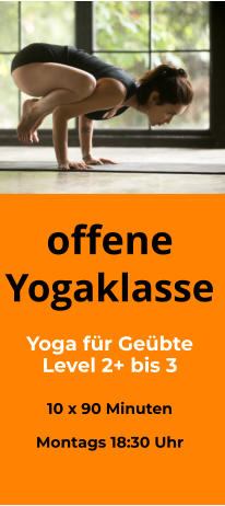 offene Yogaklasse  Yoga für Geübte Level 2+ bis 3   10 x 90 Minuten  Montags 18:30 Uhr