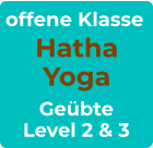 offene Klasse Hatha Yoga Geübte Level 2 & 3