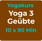 Yogakurs Yoga 3 Geübte 10 x 90 Min