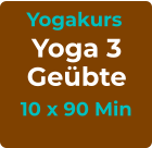 Yogakurs Yoga 3 Geübte 10 x 90 Min