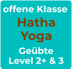 offene Klasse Hatha Yoga Geübte Level 2+ & 3