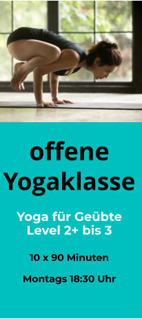 offene Yogaklasse  Yoga für Geübte Level 2+ bis 3   10 x 90 Minuten  Montags 18:30 Uhr
