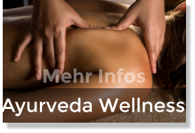 Ayurveda Wellness Mehr Infos